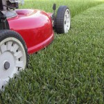 Mowing